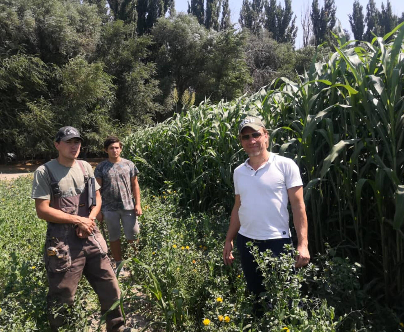 Сотрудничество ЕЦПБ МГУ и Киргизского НАУ